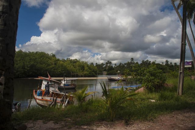 Brasile Fiume Barca Natura 