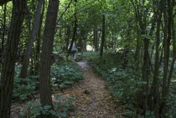 Parco dei Gessi Bolognesi e Calanche dell'Abbadessa (Bo) Natura Sentiero 