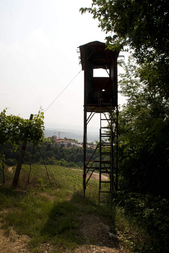 Gargagnano Percorso Natura Particolare 