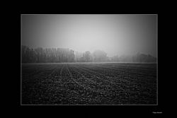 Verona Nebbia Campagna B/N 