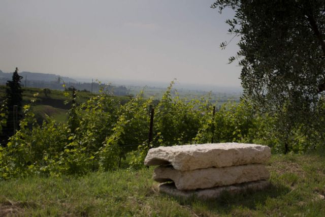 Gargagnano Percorso Natura Particolare 