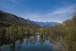 Nago (Tn) Lago di Loppio Natura 