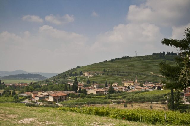 Gargagnano Panorama 