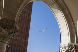 Venezia Edifici Monumenti Particolare 